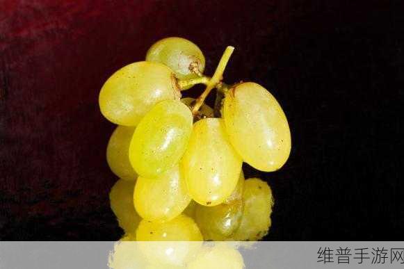 对着镜子把葡萄一粒粒：1. 在镜子前，葡萄的奇妙反射之旅