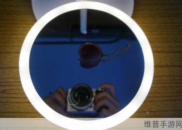 对着镜子把葡萄一粒粒：1. 在镜子前，葡萄的奇妙反射之旅