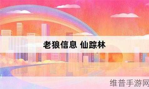 仙踪林老狼信息网大豆行情网金属：1. 探索大豆市场趋势与老狼信息网的深度分析
