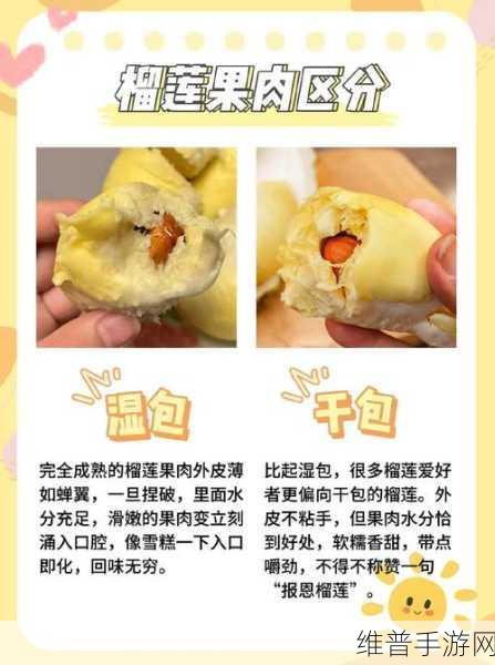8008幸福宝入口榴莲分类专区超丰富任意选择：1. 深入探索榴莲的多样分类与独特魅力