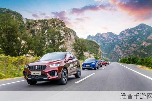 WEYVV5国产SUV的虚拟赛车化：WEY VV5虚拟赛车：开启智能驾驶新时代的竞速之旅