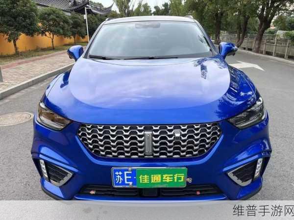 WEYVV5国产SUV的虚拟赛车化：WEY VV5虚拟赛车：开启智能驾驶新时代的竞速之旅