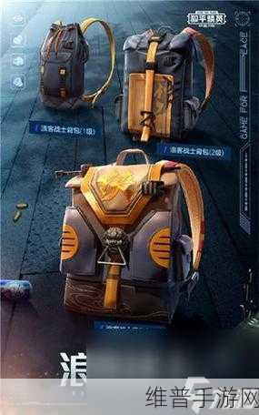 和平精英星河浪客套装获取全攻略