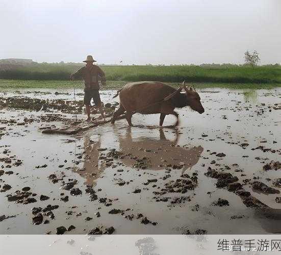 儿子耕种母亲的田地的寓意：1. 耕种母亲的田地：传承与责任的交织