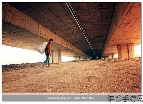 流浪汉把我拉进桥底免费阅读：1. 在桥底的奇遇：与流浪汉的心灵对话