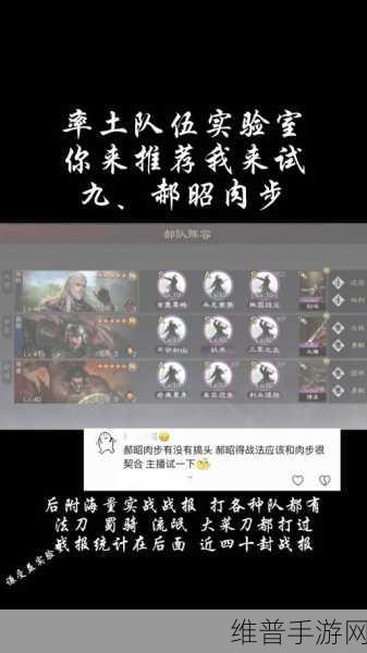 三国志战略版郝昭阵容深度解析与推荐