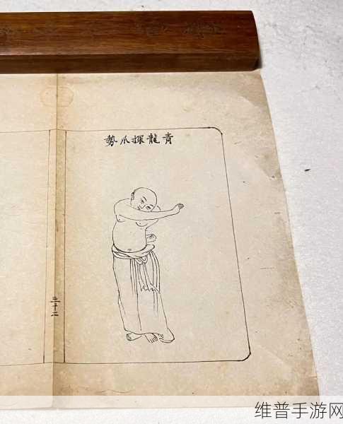 七十二招式视频：1. “掌握七十二招式，提升你的战斗技巧”