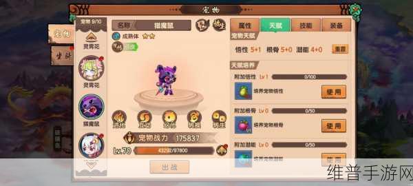 造梦无双宠物获取全指南，带你探索神秘伙伴