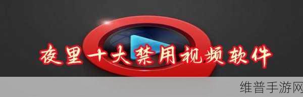 夜里100种禁用软件大全：1. 夜间禁用软件大揭秘：让你告别烦恼的黑科技