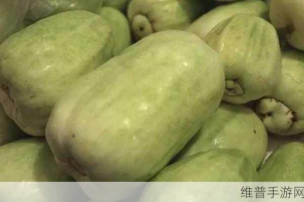 探索51cgfun网朝阳热心群众今日吃瓜的魅力：1. 探索51cgfun网：朝阳热心群众的“吃瓜”新风尚