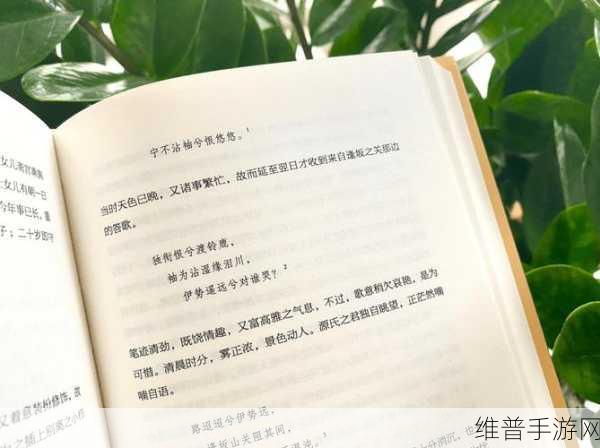和姑父开了房子怎么办：1. 和姑父开房后的复杂情感与选择