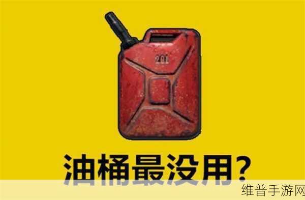 山里来的糙汉表哥在吃鸡讲的什么：1. 山里糙汉的吃鸡秘籍：野外生存与团队合作