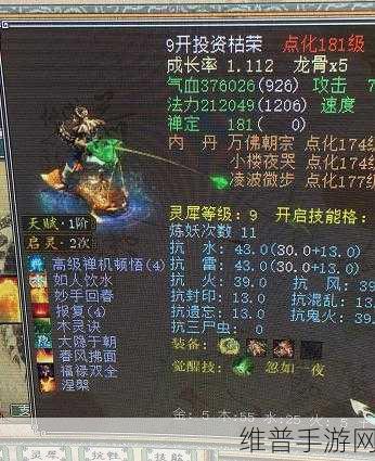 大话西游手游垂云叟加点秘籍全解析