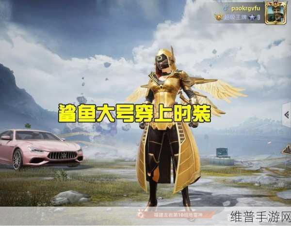 和平精英攻略，揭秘炽羽金尊皮肤的获取之道