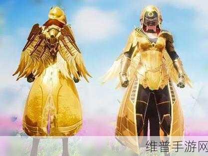 和平精英攻略，揭秘炽羽金尊皮肤的获取之道