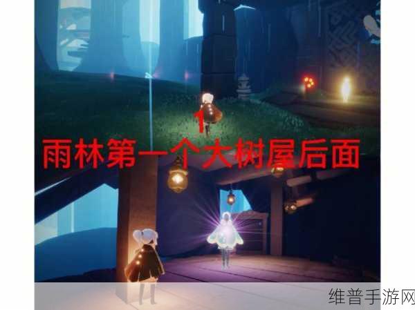 光遇风行季先祖位置全攻略，探索神秘雨林之旅