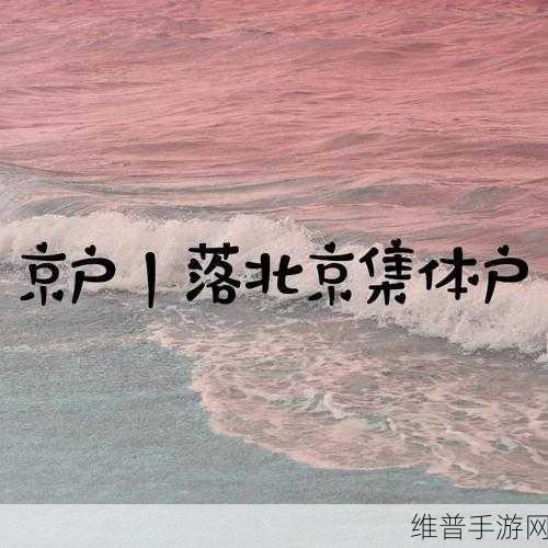 51cgfun吃瓜网热心朝阳群众：1. 热心朝阳群众助力社会治理新风尚