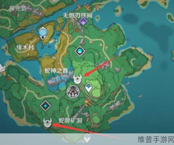 原神蛇骨矿洞鲸井小弟位置全攻略，探索与发现的奇妙之旅