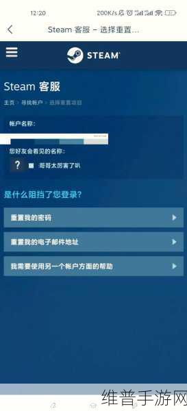 Steam账号遗忘？别担心，这里有详尽找回攻略