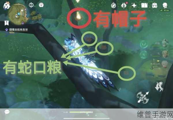 原神宝贝计划任务道具全攻略，位置与获取方法详解
