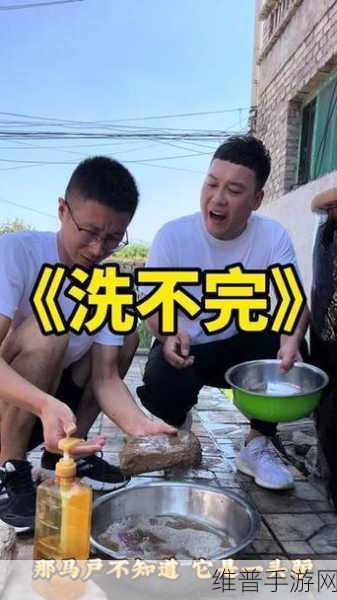 傻大壮长的驴一样的东西：1. 傻大壮与驴的奇妙冒险之旅