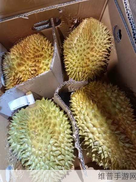 榴莲香蕉苹果哈密瓜水蜜桃已被封禁：榴莲香蕉苹果哈密瓜水蜜桃禁令引发的水果市场新动向