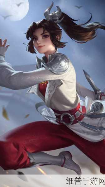 云缨救公孙离：1. 云缨援手公孙离，英雄姐妹齐心协力