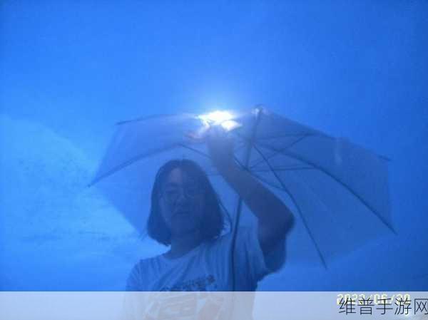 一天晚上用了好几个小雨伞：一个夜晚的奇遇：多个小雨伞的神秘冒险