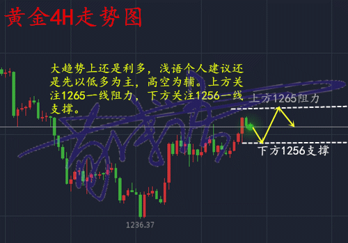 免费的行情网站app网页：1. ＂探索最新市场动态，掌握投资先机