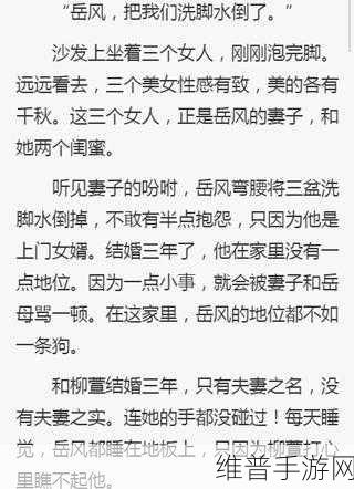 最终还是从了女婿岳风：1. 岳风的选择：从女婿到家族的希望