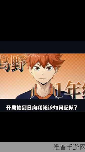排球少年手游攻略，探索日向翔阳的粉丝魅力与游戏策略