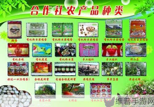 精产国品一二三产品区别：1. 精产国品一二三：各类产品的独特优势解析