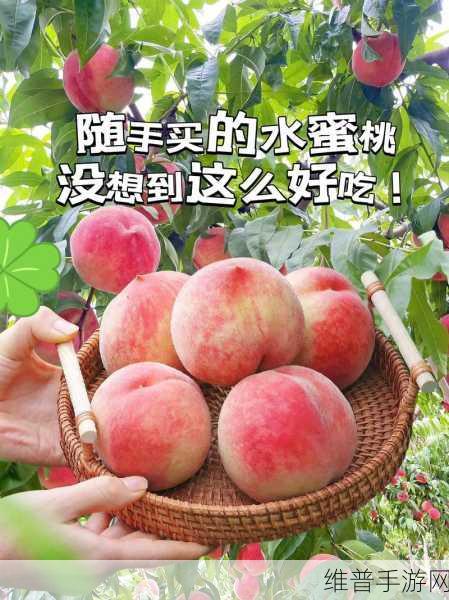 熟透的水蜜桃非常甜改为比喻句：1. 熟透的水蜜桃，甜如初恋般芬芳