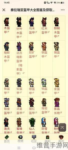 泰拉瑞亚手游攻略，如何邀请好友一起探索奇幻世界