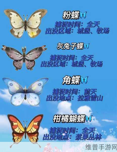 摩尔庄园手游智慧值飙升秘籍 你不可不知的攻略
