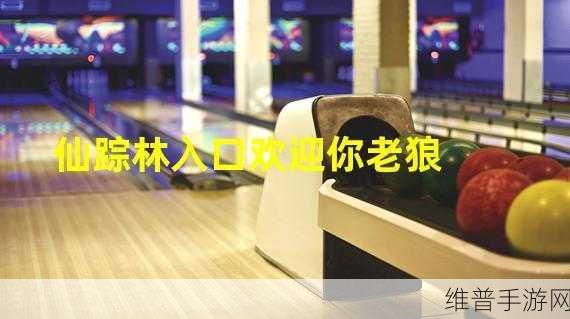 仙踪林老狼网站：1. 仙踪林老狼：探索神秘森林的奇幻冒险