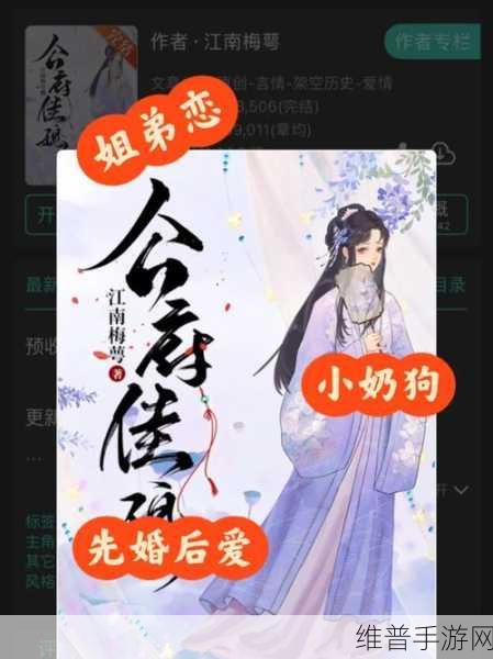公府佳媳陆丰的CP：1. 陆丰佳媳：爱与责任的完美交织