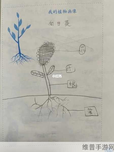 坐在根茎写作业好吗：1. 根茎的力量：如何从根本上提升写作效率