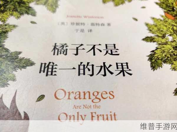 可不可以po橘子：当然可以，以下是一些基于“可不可以po橘子”的新标题建议：