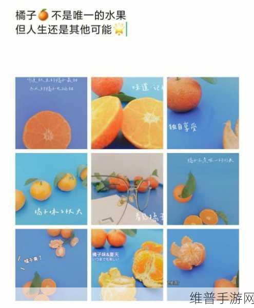 可不可以po橘子：当然可以，以下是一些基于“可不可以po橘子”的新标题建议：