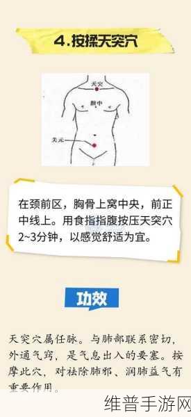 一阴吞两阳怎么做的详解：当然可以！以下是一些基于“一阴吞两阳”概念扩展出的新