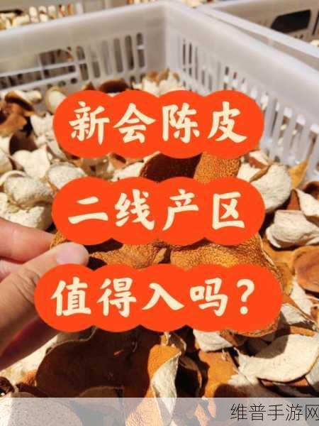 中文字幕一线产区和二线区的区别：一线产区与二线产区的差异分析与市场前景探讨
