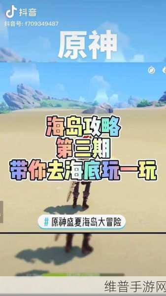 原神盛夏海岛大冒险全攻略，精准掌握时间与玩法
