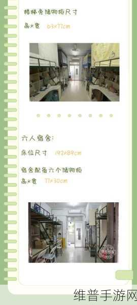 双点校园挑选宿舍床位的技巧：1. 如何在双点校园高效选择理想宿舍床位？
