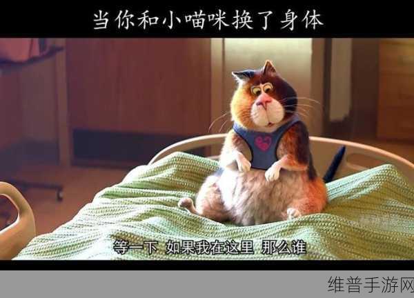 猫咪MV最新地域名怎么取：当然可以，以下是一些基于猫咪MV的地域名所拓展出的新标题建议：