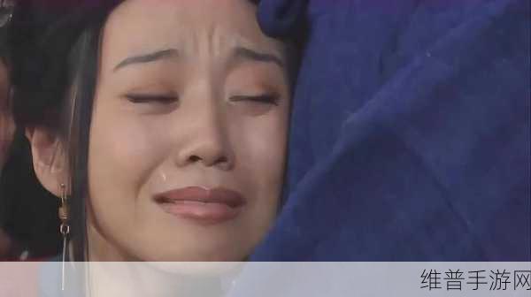 武林外传经典重现，笑泪交织的江湖之旅全攻略