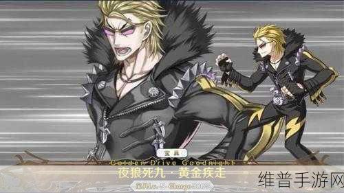 FGO游戏角色深度解析，坂田金时Rider效果与技能效果全剖析