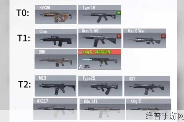 使命召唤手游国服枪支排行强度榜深度解析
