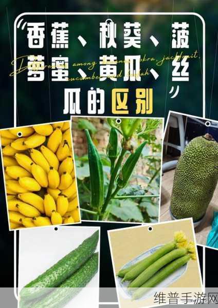 丝瓜和绿巨人蕾丝秋葵的功效：1. 丝瓜与绿巨人蕾丝秋葵：天然健康的完美结合