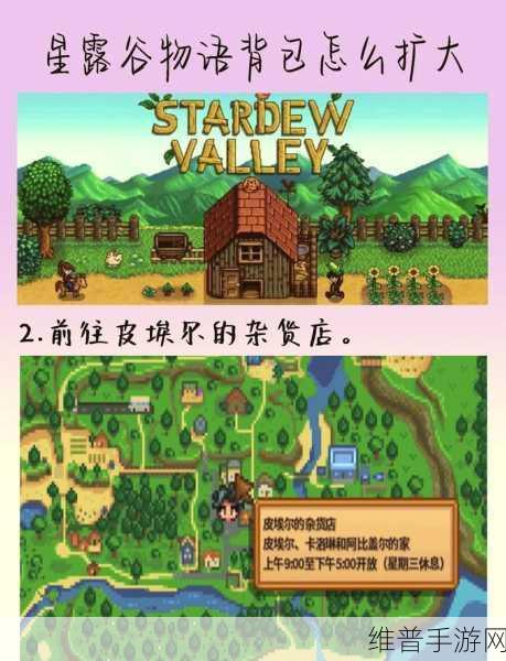 星露谷物语背包扩充全攻略，轻松提升你的携带能力